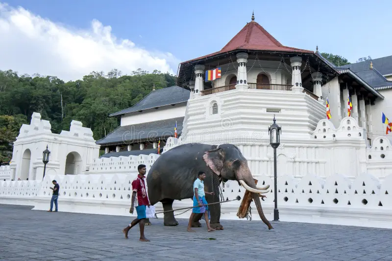 Temple